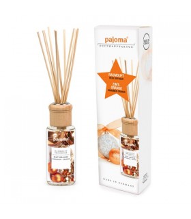 PARFUM D'INTERIEUR ORANGE-CANNELLE 100ml C8