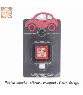 DIFFUSEUR VOITURE SWEET SUMMER TEA C12