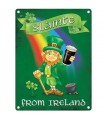 PLAQUE 15X20 SLAINTE FROM IRELAND C3