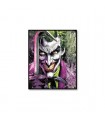 TABLEAU JOKER 50X60