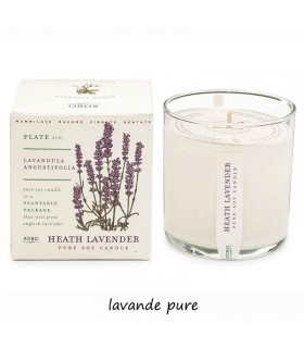 BOUGIE PLANT HEATH LAVENDER 283G