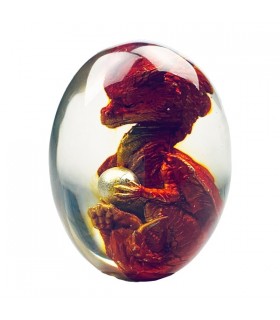 OEUF TRANSPARENT DRAGON OEUF ROUGE 7.5X5.5