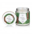 BOUGIE PASTICHE WINTER FOREST 115G