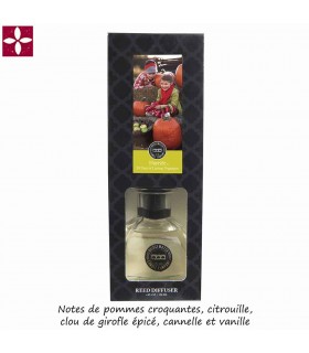 DIFFUSEUR HAYRIDE 120ML