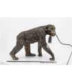 SINGE CHIMPANZE LAMPE 41X20.5X31