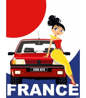 PLAQUE 30X40 VOITURE P205 FRANCE C2