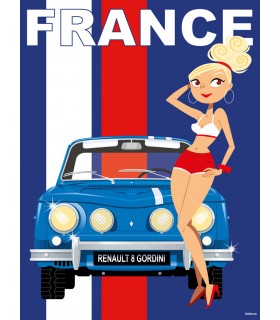 PLAQUE 30X40 VOITURE R8G FRANCE C2