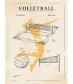 PLAQUE 30X40 VOLLEY RETRO C2