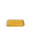 PLAT JAUNE 21X13 C2