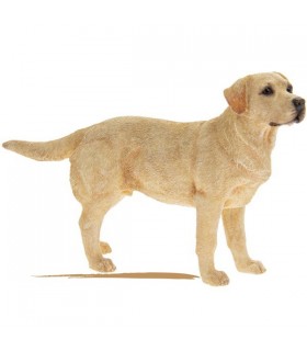 CHIEN LABRADOR GOLDEN 18X5X12 C2