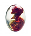 OEUF TRANSPARENT DRAGON OEUF ROUGE 7.5X5.5