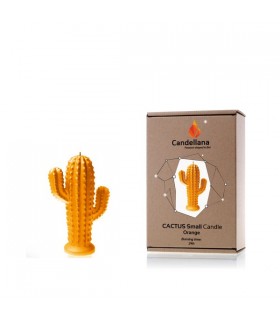 BOUGIE CACTUS ORANGE 24H 14X10X4.7 C2