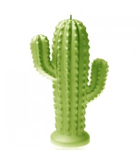 BOUGIE CACTUS VERT LIME 24H 14X10X4.7 C2