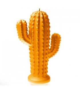 BOUGIE CACTUS ORANGE 24H 14X10X4.7 C2