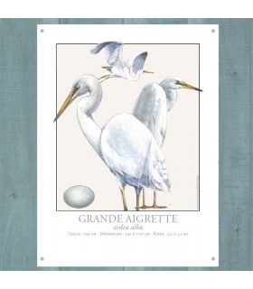 PLAQUE 30X40 GRANDE AIGRETTE