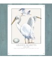 PLAQUE 30X40 GRANDE AIGRETTE