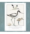 PLAQUE 30X40 AVOCETTE ELEGANTE