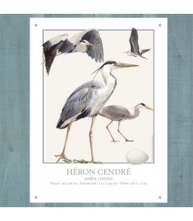 PLAQUE 30X40 HERON CENDRE