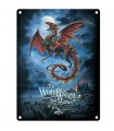 PLAQUE 15X20 THE WHITBY WYRM C3