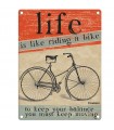 PLAQUE 15X20 RIDING A BIKE C3