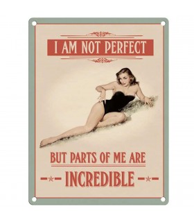 PLAQUE 15X20 I AM NOT PERFECT C3