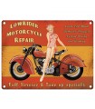 PLAQUE 30X40 LOWRIDER REPAIR C2