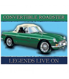 PLAQUE 30X40 CONVERTIBLE ROADSTER C2