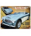 PLAQUE 30X40 AUSTIN HEALEY MK1 3000 C2