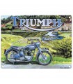 PLAQUE 30X40 TRIUMPH THUNDERLAND C2