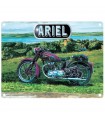 PLAQUE 30X40 ARIEL C2