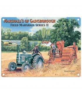 PLAQUE 30X40 MITCHELL MARSHALLS GAINSBOROUGH C2