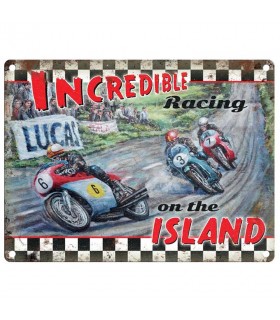 PLAQUE 30X40 INCREDIBLE RACING C2