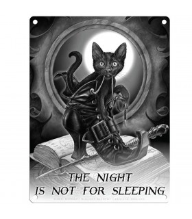 PLAQUE 30X40 NIGHT NOT FOR SLEEPING C2