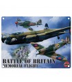 PLAQUE 30X40 BATTLE OF BRITAIN C2