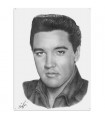 PLAQUE 30X40 ELVIS PRESLEY C2