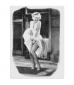 PLAQUE 30X40 MARYLIN MONROE C2