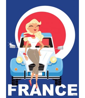 PLAQUE 30X40 VOITURE C FRANCE C2