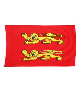 DRAPEAU NORMAND 60X90CM  C12