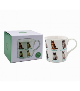 MUG CHATS 300ML SET DE 6