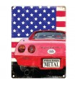 PLAQUE 30X40 CORVETTE C2