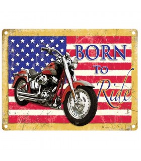 PLAQUE 30X40 BORN TO RIDE C2