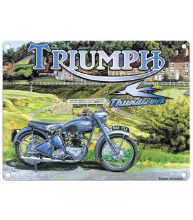 PLAQUE 30X40 TRIUMPH THUNDERLAND C2