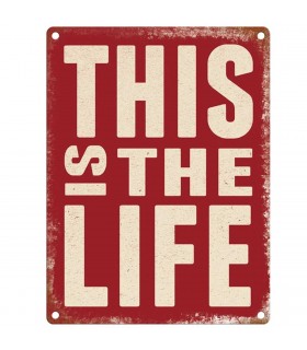 PLAQUE 30X40 THIS IS THE LIFE C2