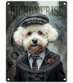 PLAQUE 20X30 BICHON FRISE C2