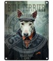 PLAQUE 20X30 BULL TERRIER C2