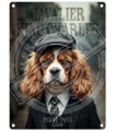 PLAQUE 20X30 CAVALIER KING CHARLES C2