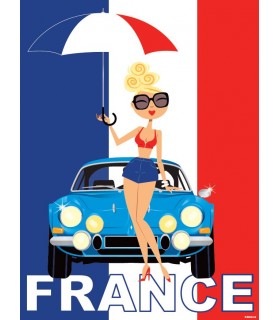 PLAQUE 30X40 VOITURE AR FRANCE C2