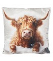 COUSSIN VACHE DES HIGHLANDS BAIN 45X45 C2